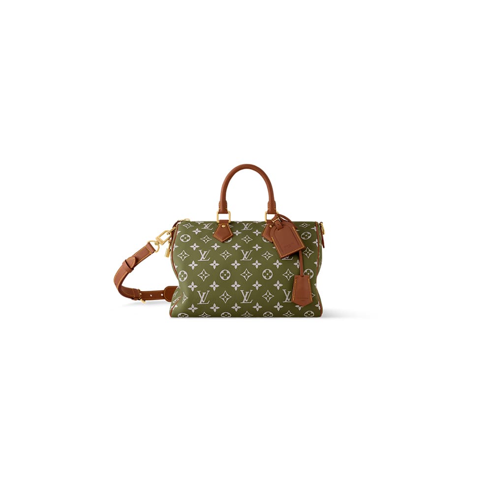 LV Speedy P9 Bandouliere 30(HIGH-END GRADE)